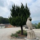 반야사불상 이미지