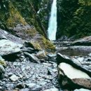 연탄춤추는돼지 이미지