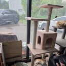 BTB모터스 이미지