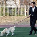 봄,여름,가을,겨울 이미지