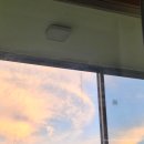 8월 둘째 주 일기 (부제: 음식 일기가 아닐까 っ◞‸◟c)