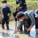 광주북초교 이미지