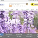 아름여행사 이미지