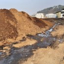 정찬욱농장 이미지