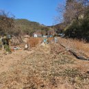 푸른들공인중개사사무소 이미지