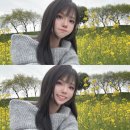 뉴드림분식 | 화성에서도 사랑해는 여전히 사랑해인지