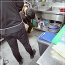 신사동클린