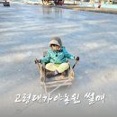 고령염소마을 | 경북 고령 얼음썰매 방문 후기 및 이용정보 알아보기
