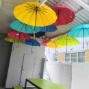 이양면사무소 이미지