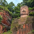 신 황룡 이미지