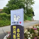 경북반려동물장례식장 | 대구 경북 반려동물 장례식장 칠곡 스윗드림펫 정보 및 비용