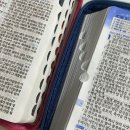 일주일동안 서울만 3번