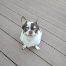 킴스동물병원 이미지