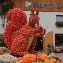 애지농장 이미지