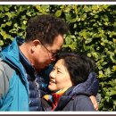 덕혜공주 봉축비-조선통신사비....추억앨범 이미지