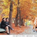 가을 이미지