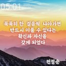 토성오리