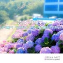 수국펜션 이미지