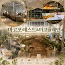 마고 | 대형 베이커리카페]아이와 가기 좋은 실내정원 베이커리카페 '마고포레스트&amp;마고플레인' 내돈내산 후기