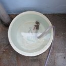 장현3리 이미지