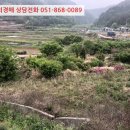 구산면557 이미지