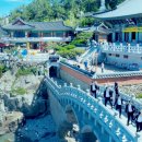 해동목장 이미지