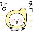 안나여행사주