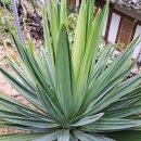 모가우체국 이미지