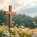 천국세탁소 이미지