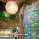 중앙카랜드 이미지