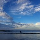 제주도 2025가을일기 3. 제주도는 한여름 이미지