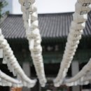 삼성동-2 이미지