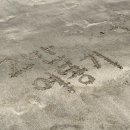 7월 3주차 해양경찰원에서의 합동교육