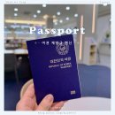서초구청 | 여권 재발급 기간 온라인 신청방법 가격 준비물 서초구청 수령후기