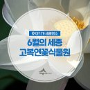 효자 김종철 정려 이미지
