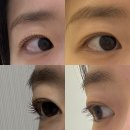 아진일렉트론3공장 | [양주/옥정]옥정 속눈썹 눈매 또렷 블랙케라틴펌| 스누즈뷰티 X 멜로즈뷰티