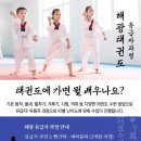 장산태권도 이미지