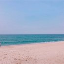 강문해변 이미지