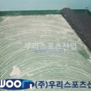 자운스포츠