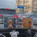 댕댕이발소 이미지