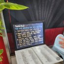 강화터미널상가 | 예약 필수! 강화터미널 명물 중화요리 맛집 금문도, 익숙한 메뉴의 새로운 변신❤️‍🔥