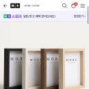 포토모어