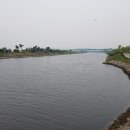 동탄대로시범길 이미지