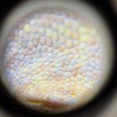 인터렙타일 이미지