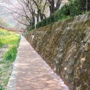 장복산길 이미지