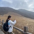 이마트24 울산금아팰리스점 | [신불산최단코스]간월재 거쳐 신불산까지, 경남산림청100대명산 1개 클리어!, 울산역쏘카, 읍내김밥