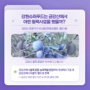 강원슈퍼푸드