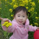 어방어린이집 이미지