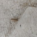 금왕셀프세차장 이미지