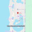 (주)골드호텔 | 아이와 골드코스트 씨월드 후기｜돌고래쇼·레이 인카운터·상어 수족관 스노클링